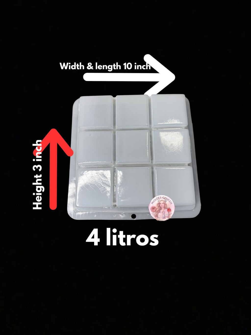 Molde de plástico en forma de cuadros