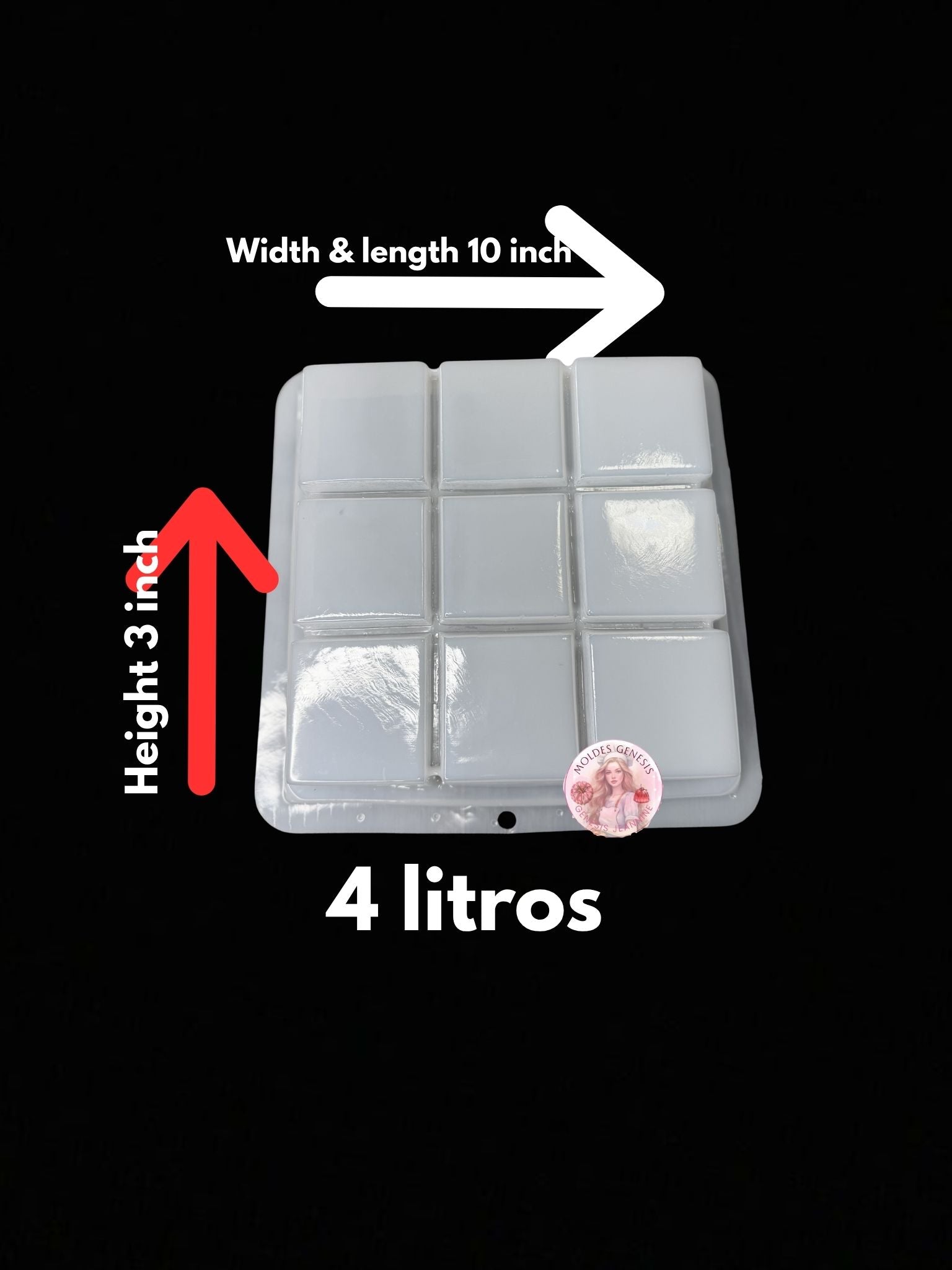 Molde de plástico en forma de cuadros