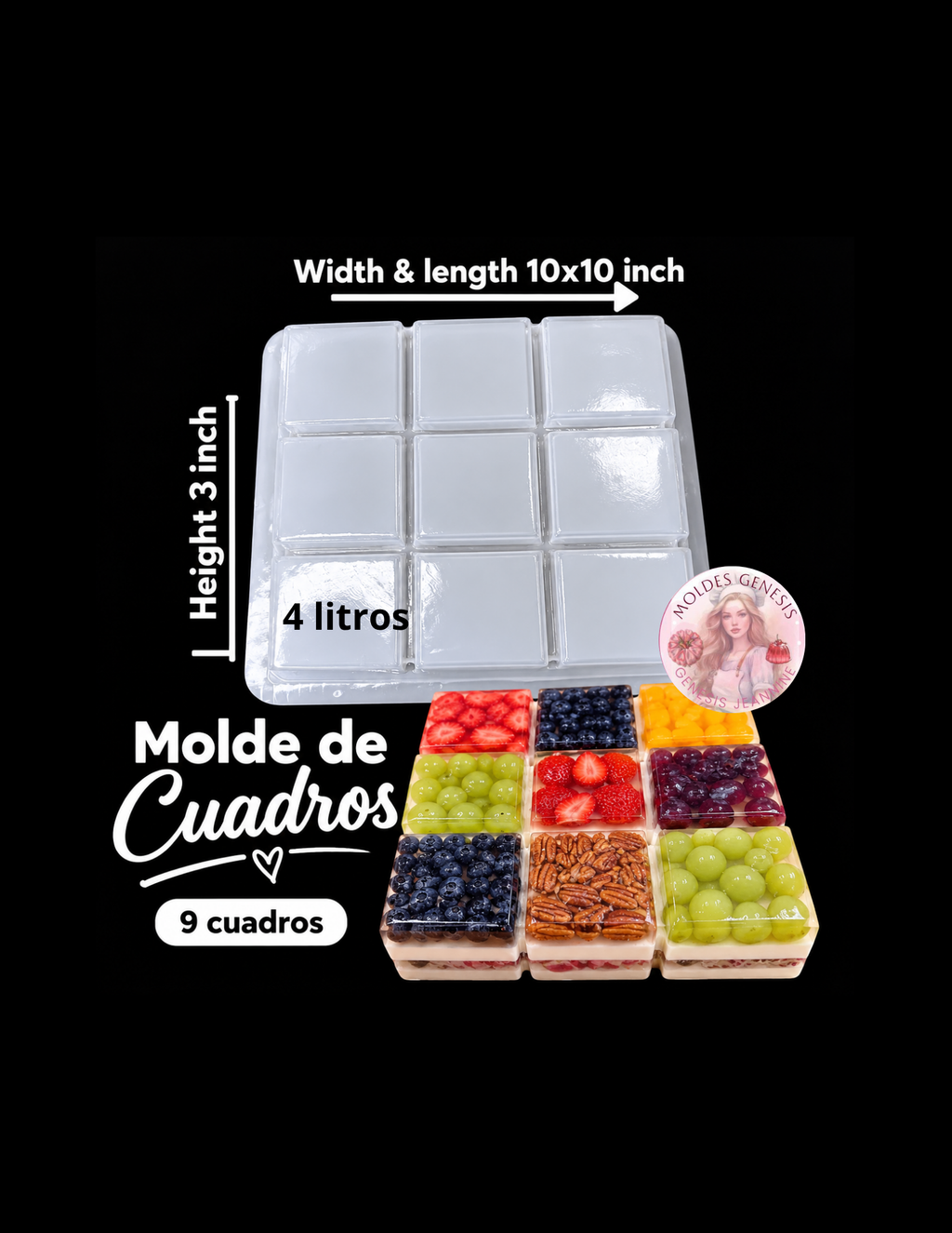 Molde de plástico en forma de cuadros